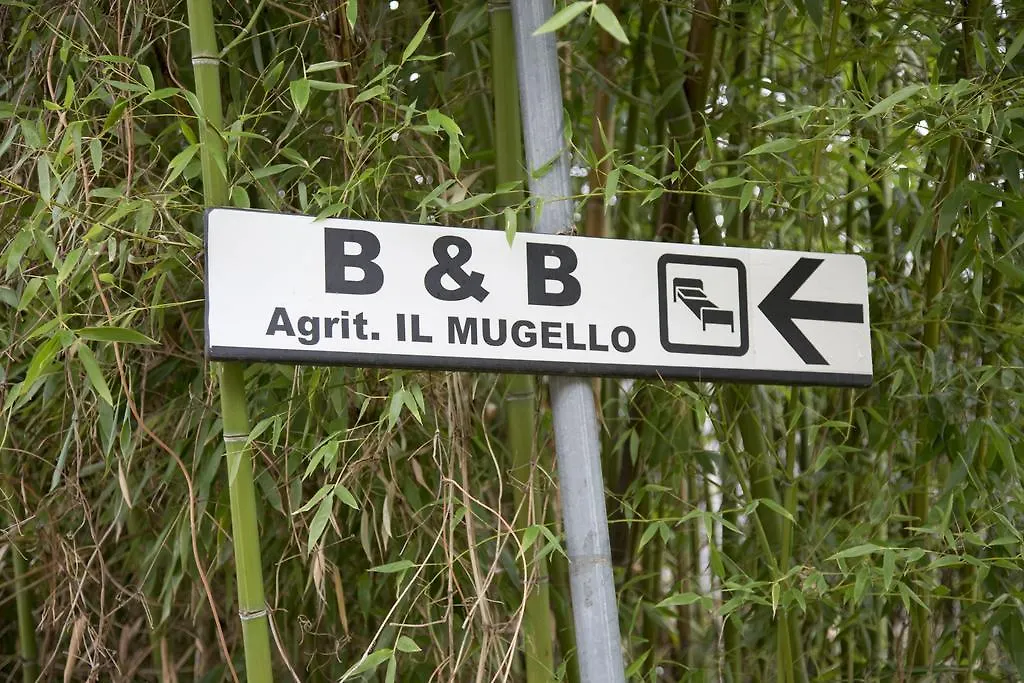 Il Mugello B&B-1